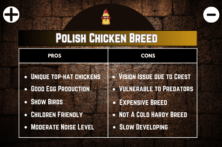 Pros and Cons of Polish Chicken